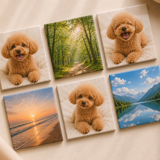 Photo magnet（フォトマグネット）／ 6枚